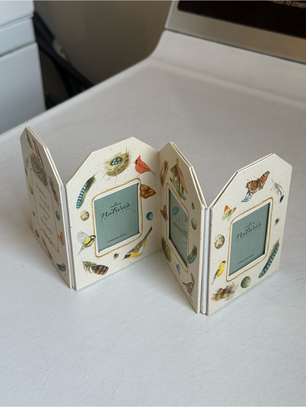 Vintage Y2K Hallmark Nature's Sketchbook Vintage Accordion Picture Frame Holder